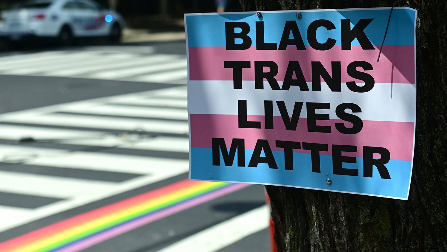 black trans lives matter trans flag sign on a tree