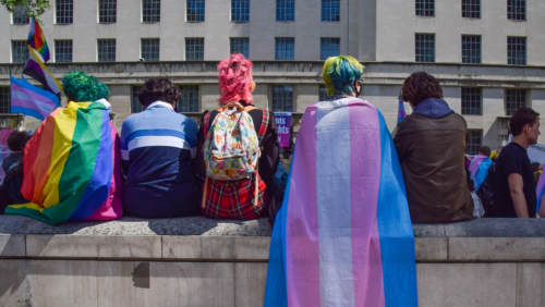 group of young people at a trans rights rally holding gender identity pride flags, as we see their backs