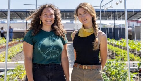 rooftop farm