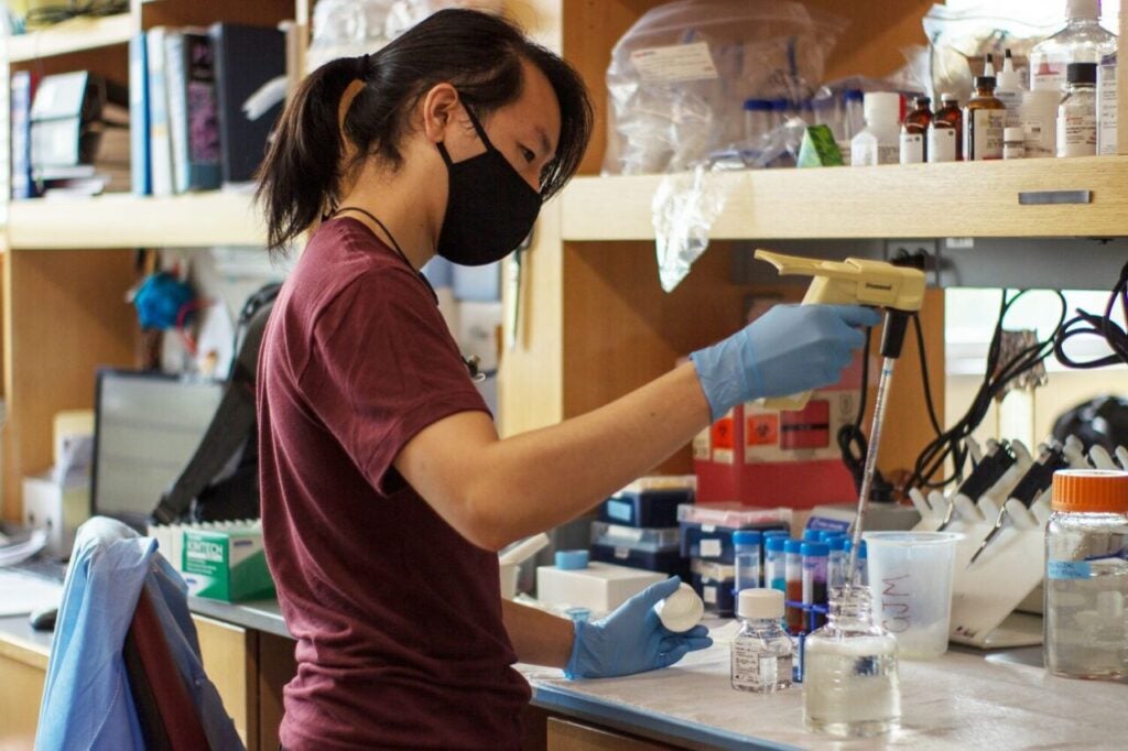 a researcher at BMC's Center for Regenerative Medicine (CReM) Sickle Cell Lab